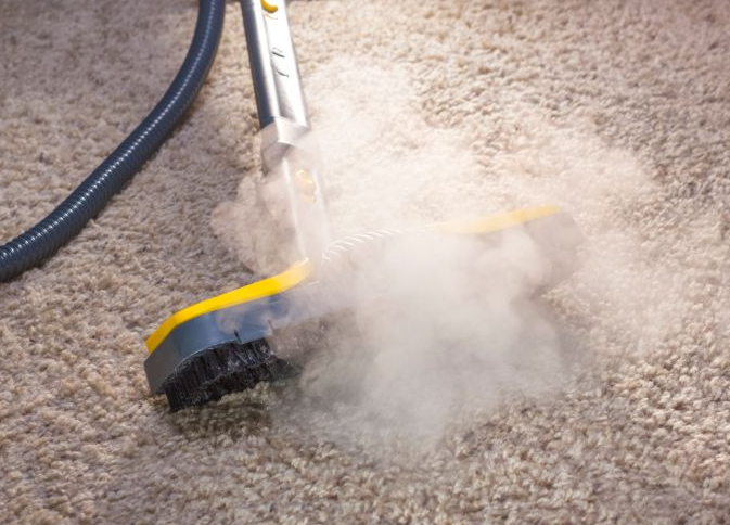 Will Professional Carpet Cleaning Remove Pet Odors?