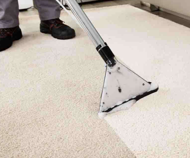 Are Carpet Cleaners Worth It?