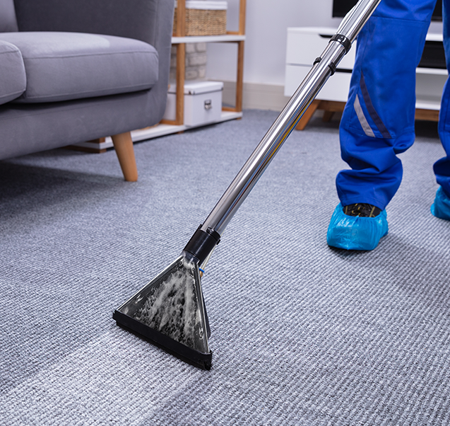 How Long Should Carpet Smell After Cleaning