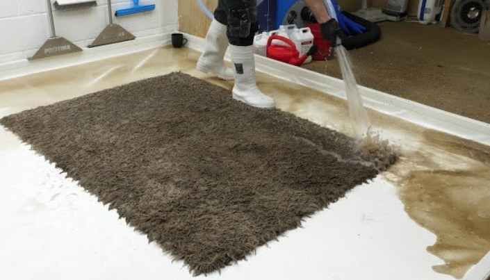 Carpet Cleaning Videos