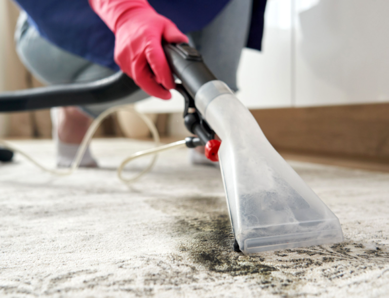 Carpet Cleaning