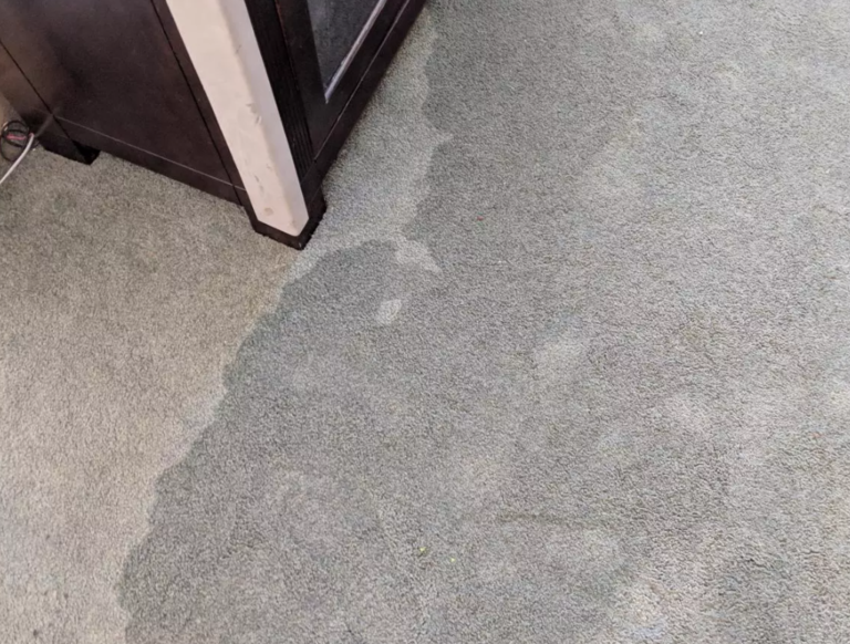 Should Carpet Be Replaced After Water Damage